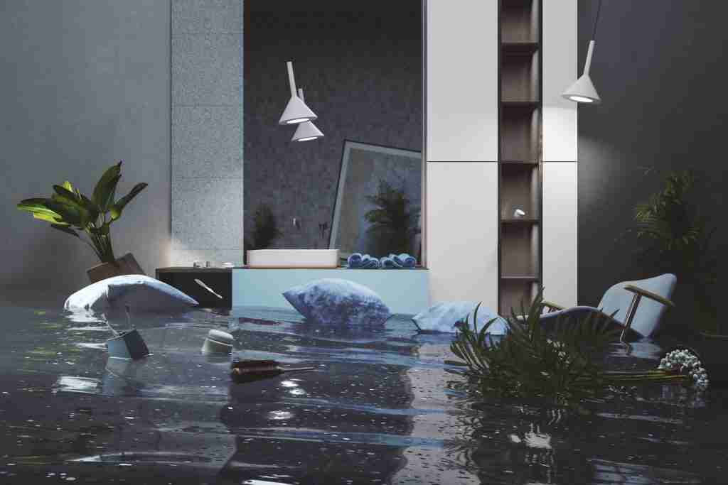 water damage restoration quincy